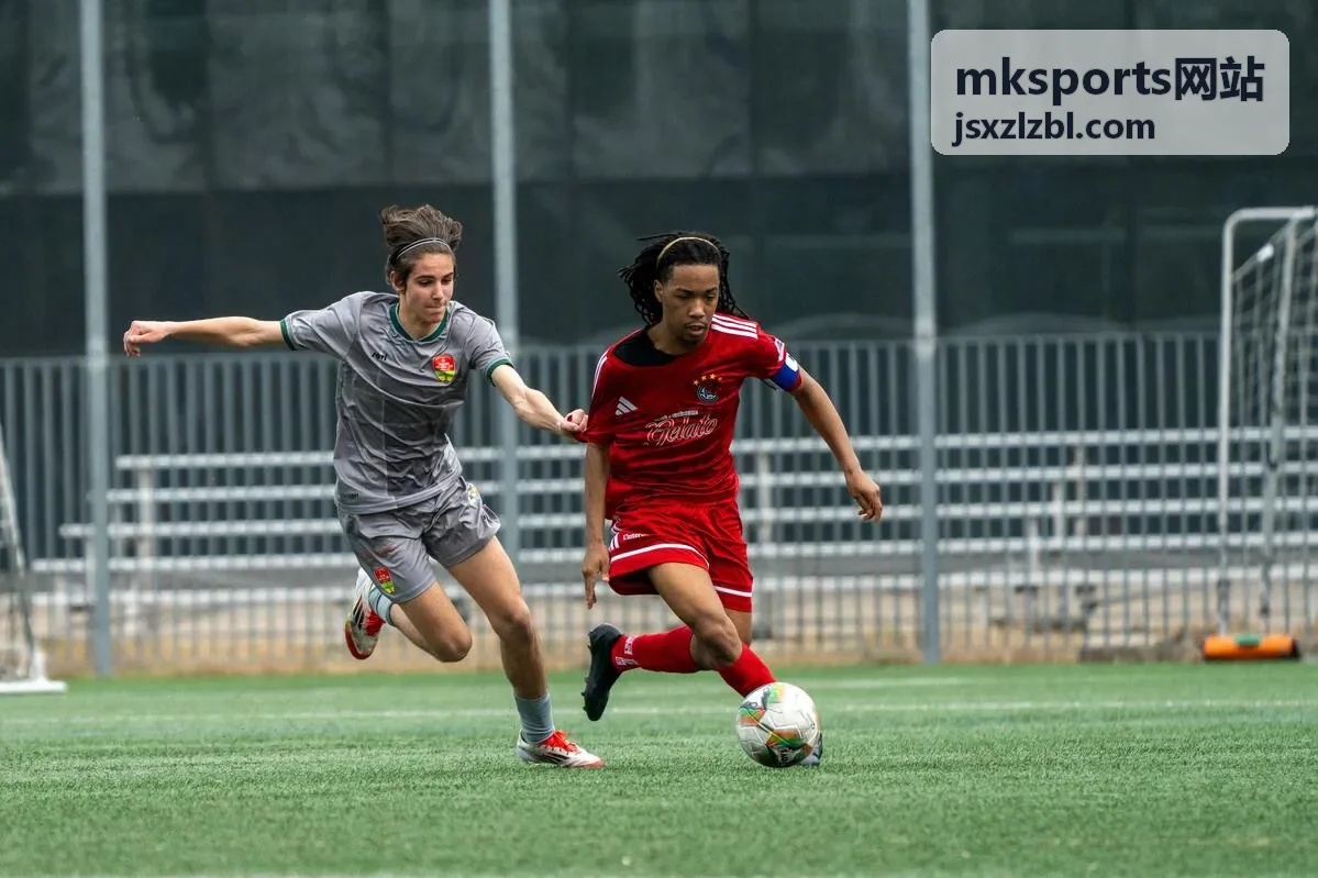 mksports网站球队与球员资料库栏目封面